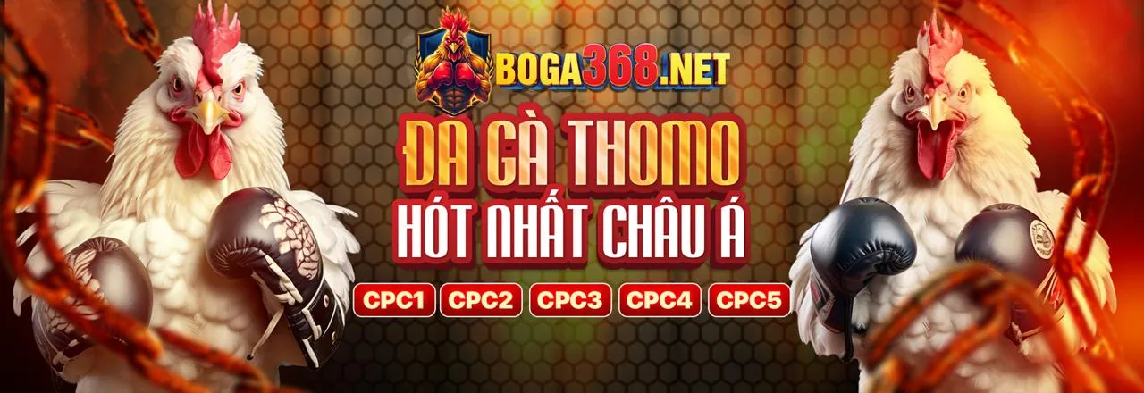 Cam kết của loto188 live